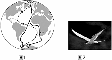 菁優(yōu)網