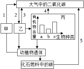 菁優(yōu)網(wǎng)