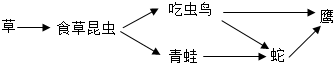 菁優(yōu)網(wǎng)