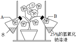 菁優(yōu)網(wǎng)