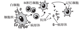 菁優(yōu)網