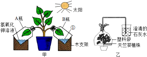 菁優(yōu)網(wǎng)