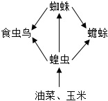 菁優(yōu)網(wǎng)