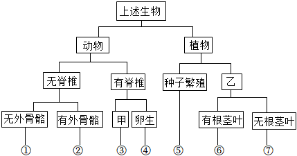 菁優(yōu)網