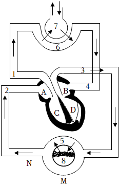 菁優(yōu)網(wǎng)