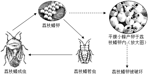 菁優(yōu)網