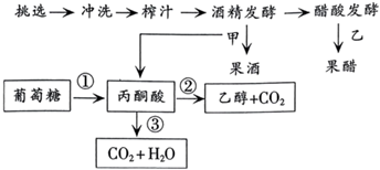 菁優(yōu)網(wǎng)