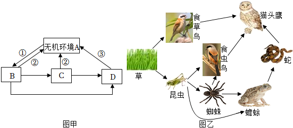 菁優(yōu)網(wǎng)