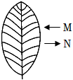 菁優(yōu)網(wǎng)