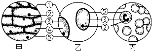 菁優(yōu)網(wǎng)