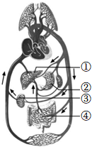 菁優(yōu)網(wǎng)