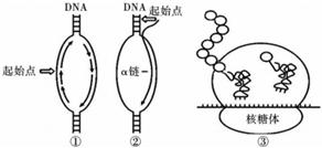 菁優(yōu)網