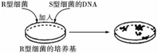 菁優(yōu)網