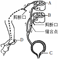 菁優(yōu)網(wǎng)