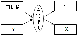 菁優(yōu)網(wǎng)