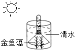 菁優(yōu)網(wǎng)