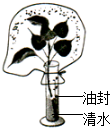 菁優(yōu)網(wǎng)