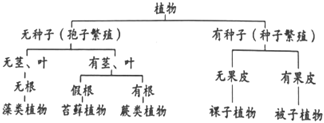 菁優(yōu)網