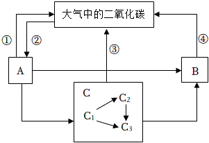 菁優(yōu)網(wǎng)