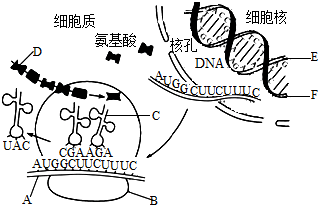 菁優(yōu)網(wǎng)