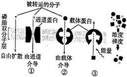 菁優(yōu)網(wǎng)