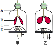 菁優(yōu)網(wǎng)