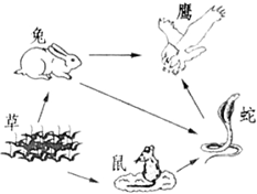 菁優(yōu)網