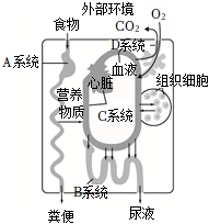 菁優(yōu)網(wǎng)