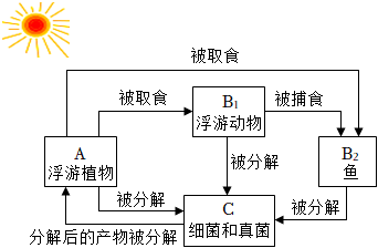 菁優(yōu)網(wǎng)