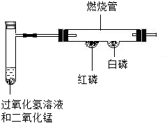 菁優(yōu)網