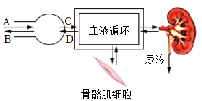 菁優(yōu)網