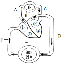 菁優(yōu)網(wǎng)