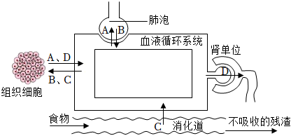 菁優(yōu)網(wǎng)