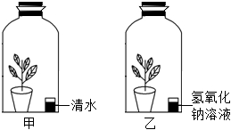 菁優(yōu)網(wǎng)