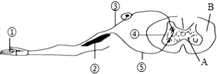 菁優(yōu)網(wǎng)