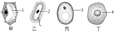 菁優(yōu)網(wǎng)