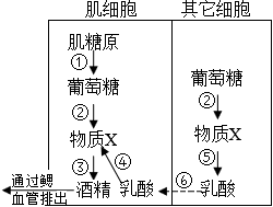 菁優(yōu)網(wǎng)