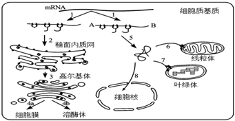 菁優(yōu)網