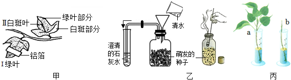 菁優(yōu)網