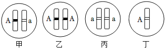 菁優(yōu)網