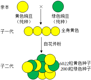 菁優(yōu)網