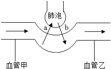 菁優(yōu)網(wǎng)