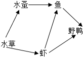 菁優(yōu)網(wǎng)