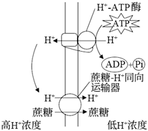 菁優(yōu)網(wǎng)