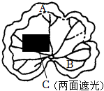 菁優(yōu)網(wǎng)