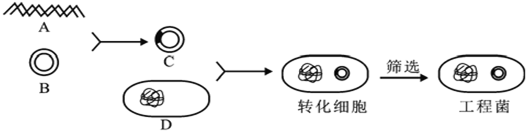 菁優(yōu)網