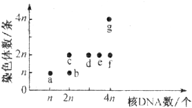 菁優(yōu)網