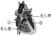 菁優(yōu)網