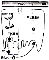 菁優(yōu)網(wǎng)