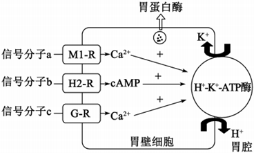 菁優(yōu)網(wǎng)